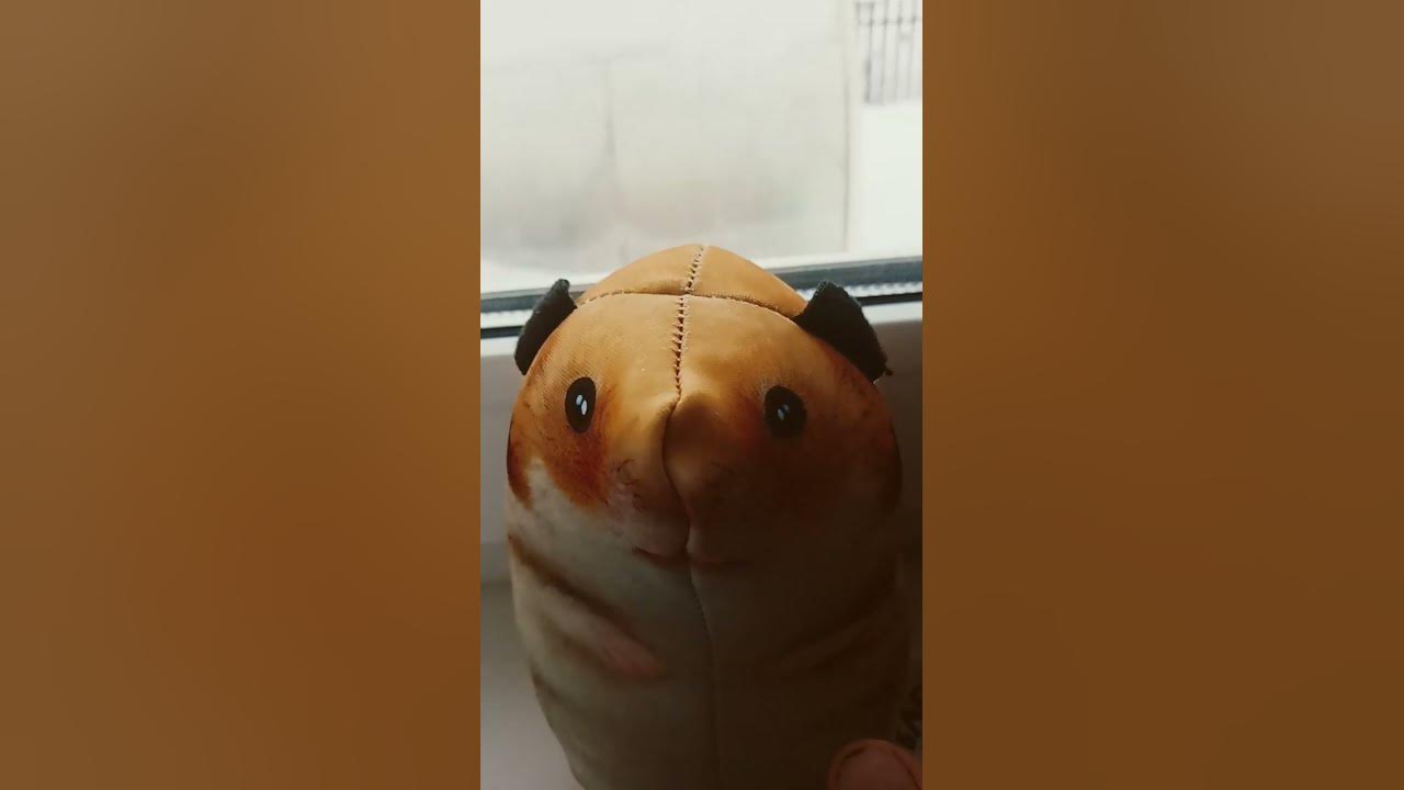 БЛОПТОП спасибо за классные игрушки ️@bloptop #shorts #блоптоп #мем ...
