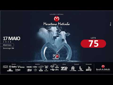 LOTE 75