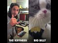 The kiffness x big billy live looping talking cat remix