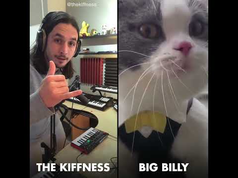 The Kiffness X Big Billy (Live Looping Talking Cat Remix)