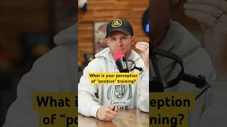Positive REINFORCEMENT vs. positive PUNISHMENT?#shorts #nobaddogs #dogtraining Positive REINFORCEMENT vs. positive PUNISHMENT?#shorts #nobaddogs #dogtraining