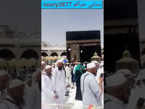 شاهدوا بكاء الحاج في ساحة الحرم المكي أكرم ضيوف الرحمن ولو بكلمة طيبة