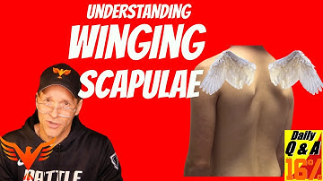 Understanding Winging Scapulae -  BillHartmanPT.com Q&A for The 16%