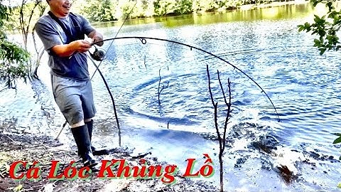 Trúng mánh rồi cá lóc khủng |@San bat cuoi tuan usa