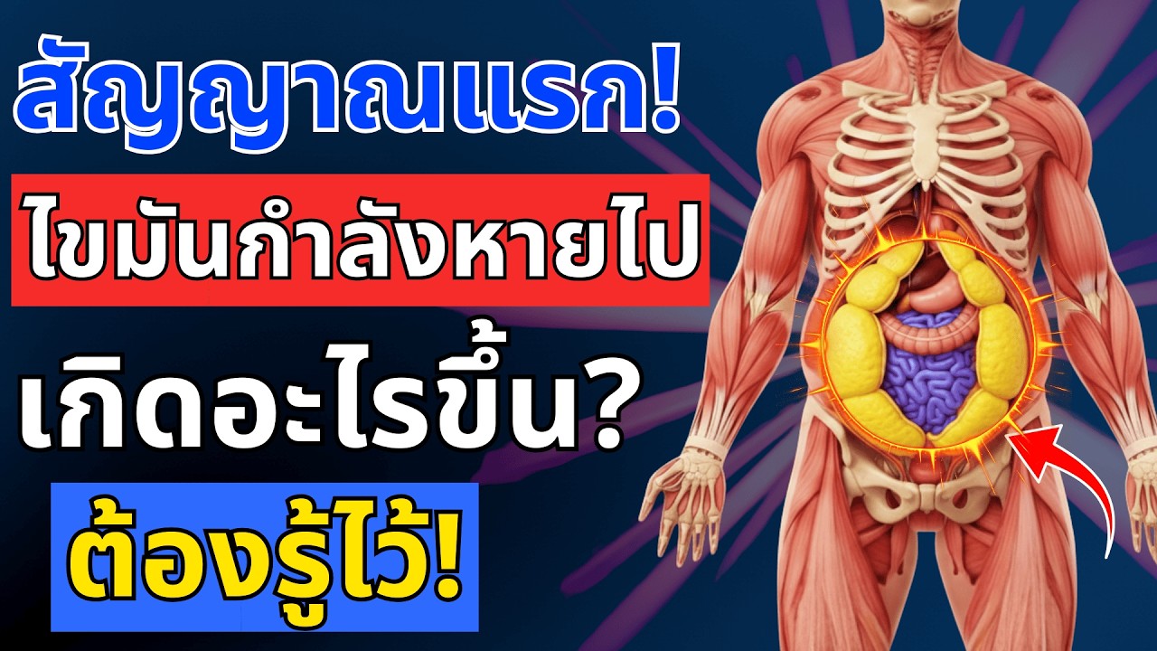 วิทยาศาสตร์พิสูจน์! เมื่อไขมันพุงเริ่มสลาย จะเกิดอะไรขึ้นกับร่างกาย | สุขภาพผู้สูงอายุ