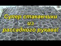 ПРЕИМУЩЕСТВА СТАКАНЧИКОВ ДЛЯ РАССАДЫ ИЗ П/Э РУКАВА.