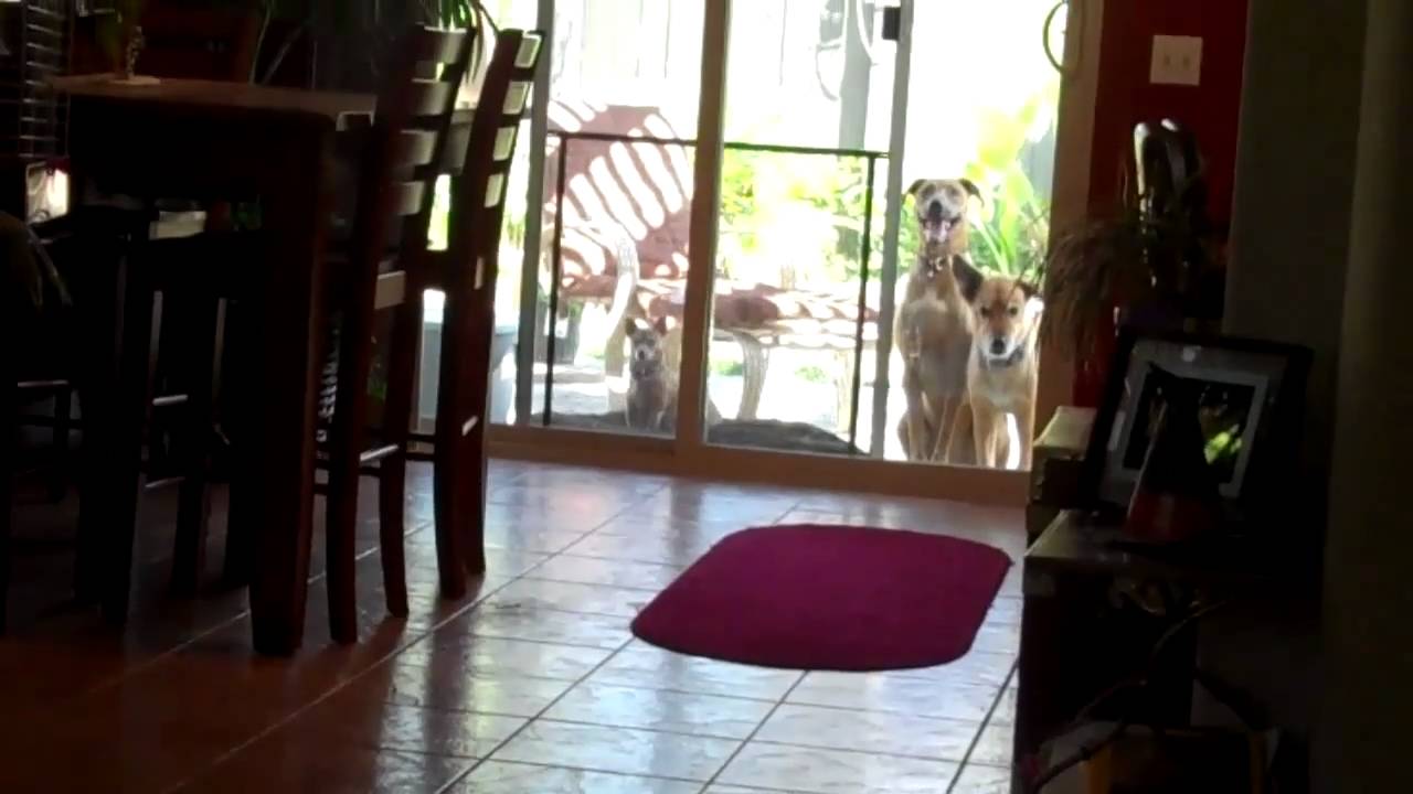 SAN DIEGO HOMES FOR SALE OTAY RANCH CHULA VISTA CA 91915 YouTube