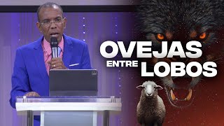 OVEJAS ENTRE LOBOS  PASTOR ERNESTO CUEVAS @pastorernestocuevas394