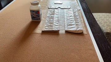 curtiss robin Eze Dope application