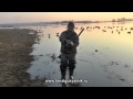 охота на утку и гуся весной 2013
