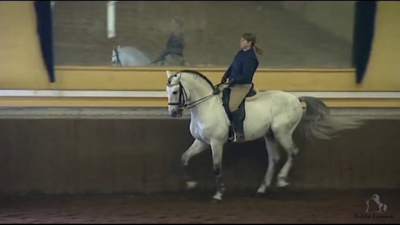 Tobbe Larsson gästar Luis Valenca | Episode 6