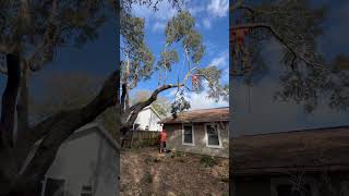 2 rope rigging points 🤗Making a span rigging system 🦅 Wealth