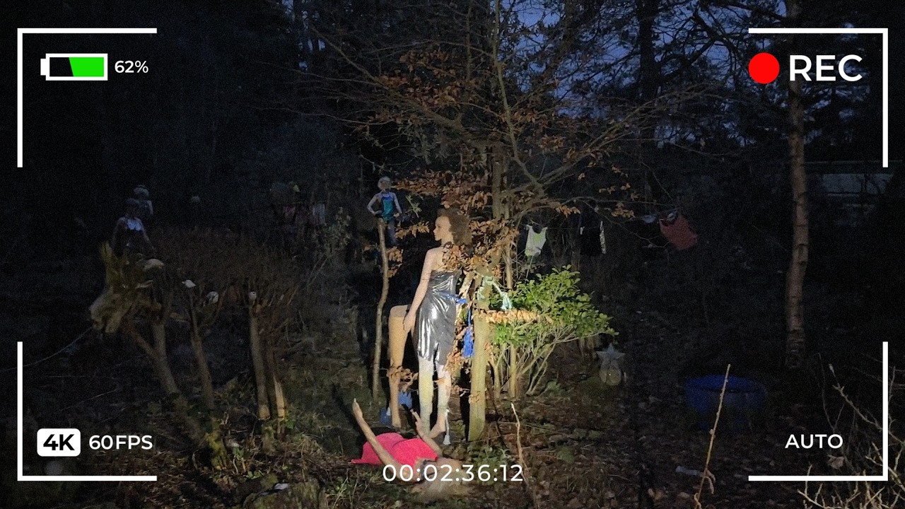 3 Terrifying Forest Encounters Caught On Camera