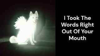 Fat Dog - Call It What You Want - Lyrics 