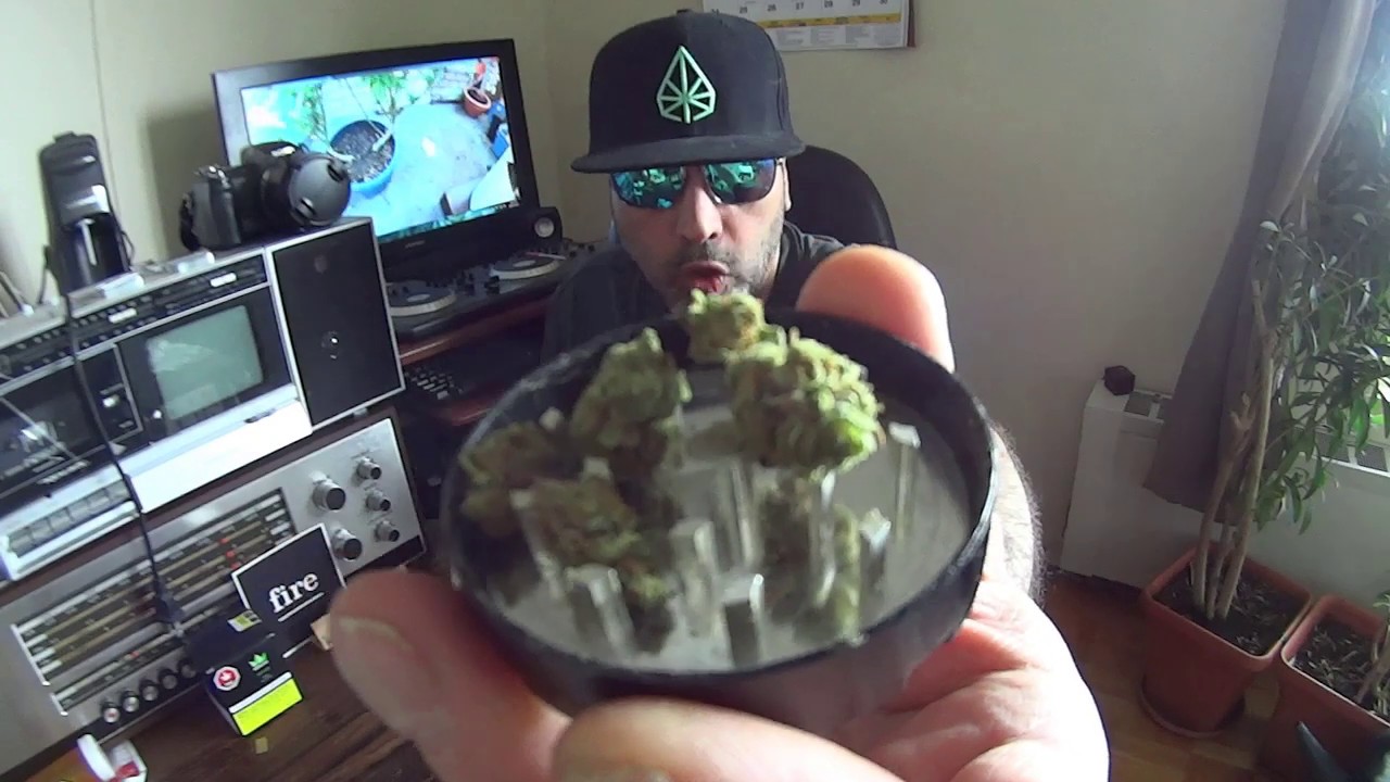 Critical Cali Mist by Pure Sunfarms Review