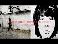 БЕСПЛАТНЫЙ ПРЕСЕТ В СТИЛЕ JERK/UNKI