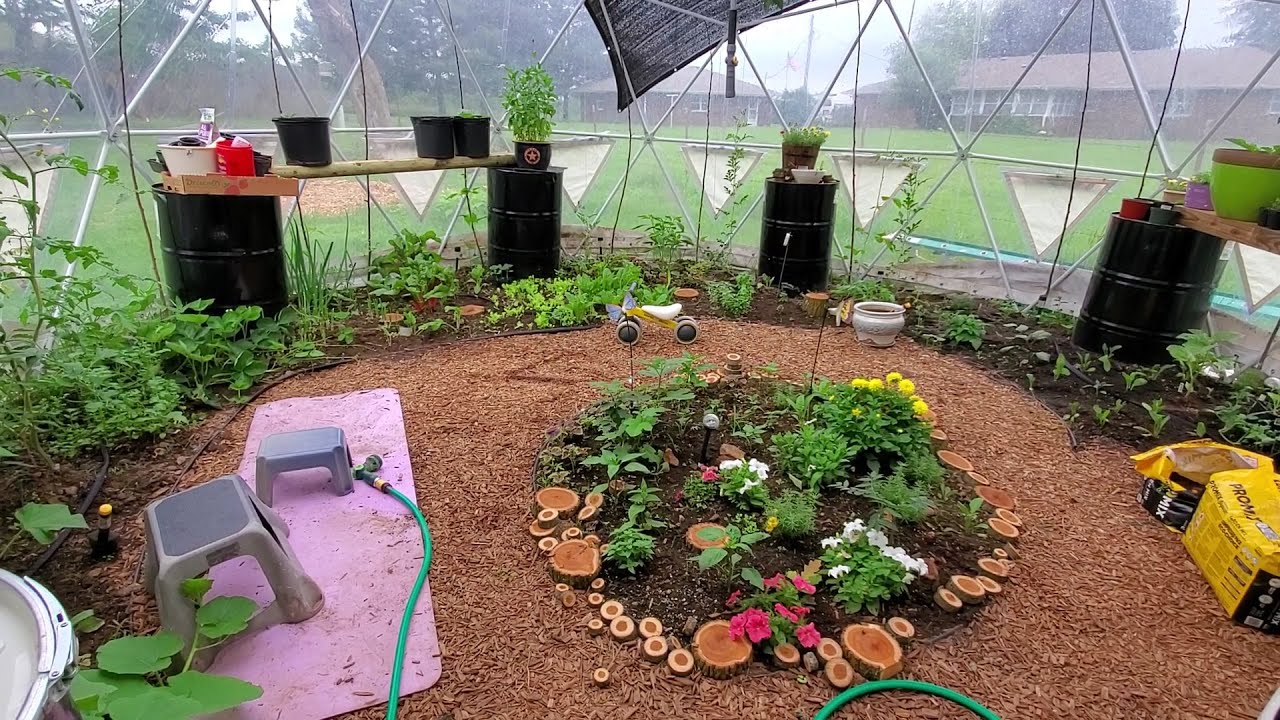 Greenhouse Garden Updates on May 31st - YouTube