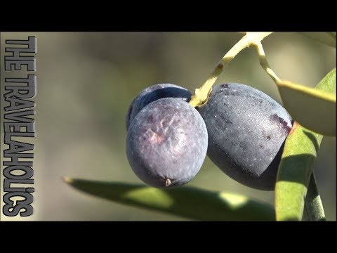 Valença do Douro Portugal Movie