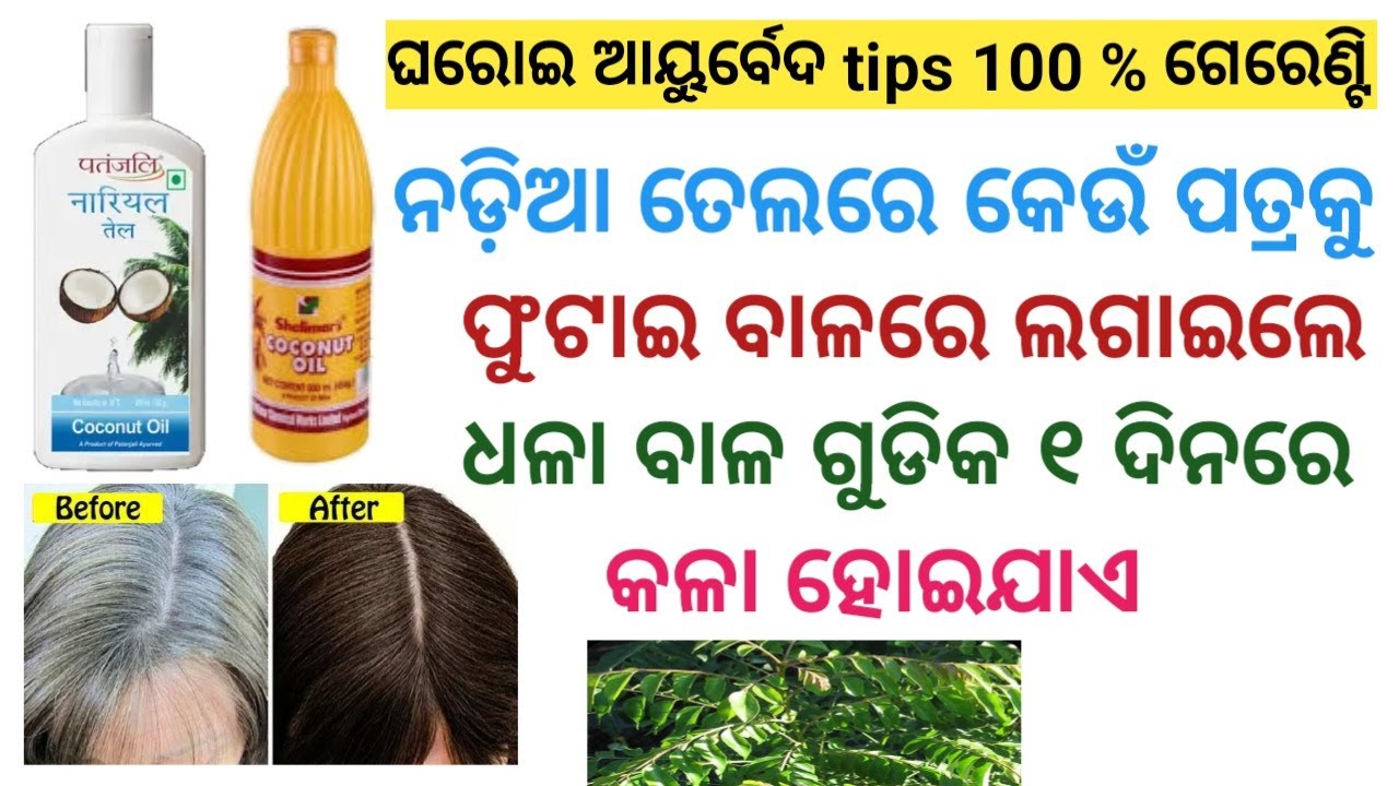 Odia Gk Questions And Answers | General Knowledge Quiz | Odia Quiz