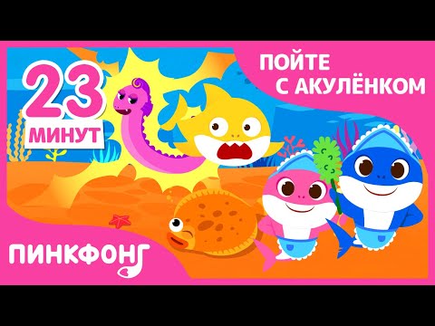 Опасные Морские Друзья В Океане | Сборник | Акулёнок | Пойте С Акулёнком | Пинкфонг Песни Для Детей