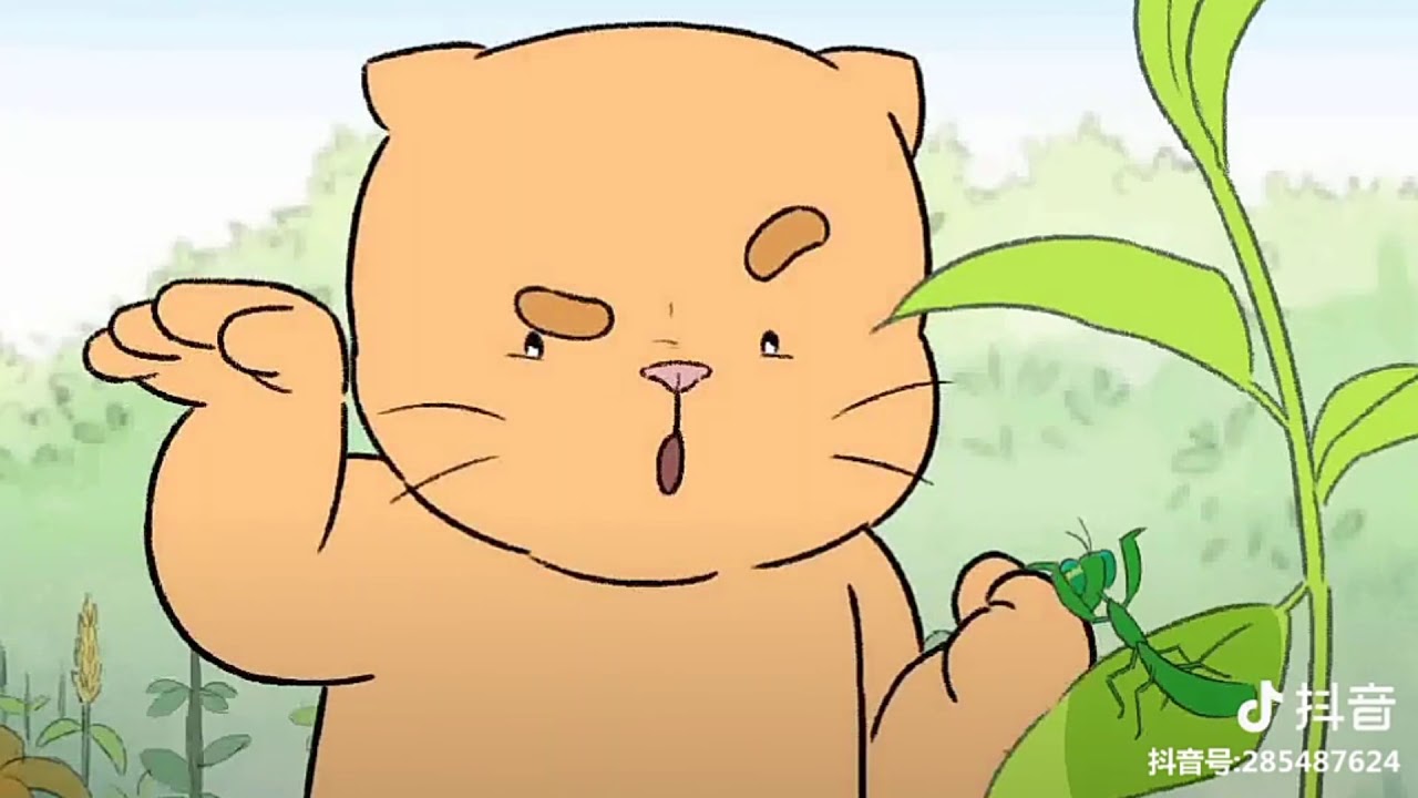 Tik Tok: Hoạt hình về những chú mèo dễ thương và hài hước trên Tik ...