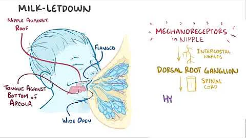 Breastfeeding - DayDayNews