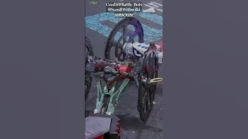 Huge Bot Fighting Comprison viral #viral #robox #robloxedit #shorts #bot #bottle