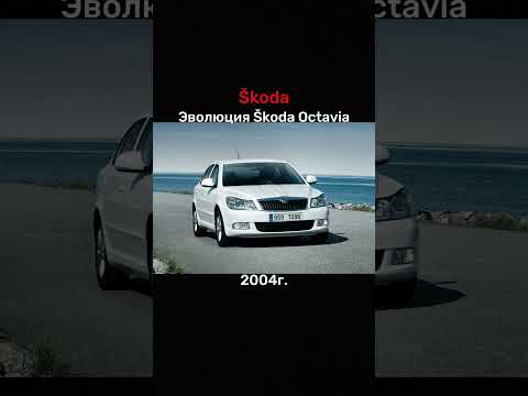 🔵Evolution of Škoda Octavia #shorts #sorts #bird167 #evo1905 #rek #рек #рекомендации #авто #шкода
