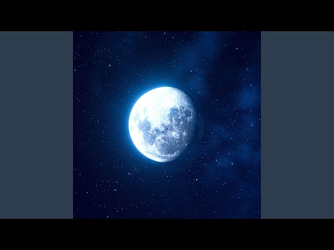 See Pro - Trauma