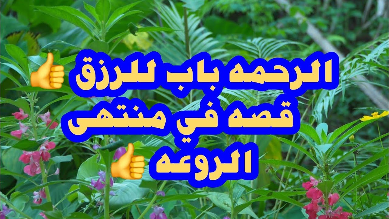 الرحمه باب للرزق 👍قصه في منتهى الروعه 👍