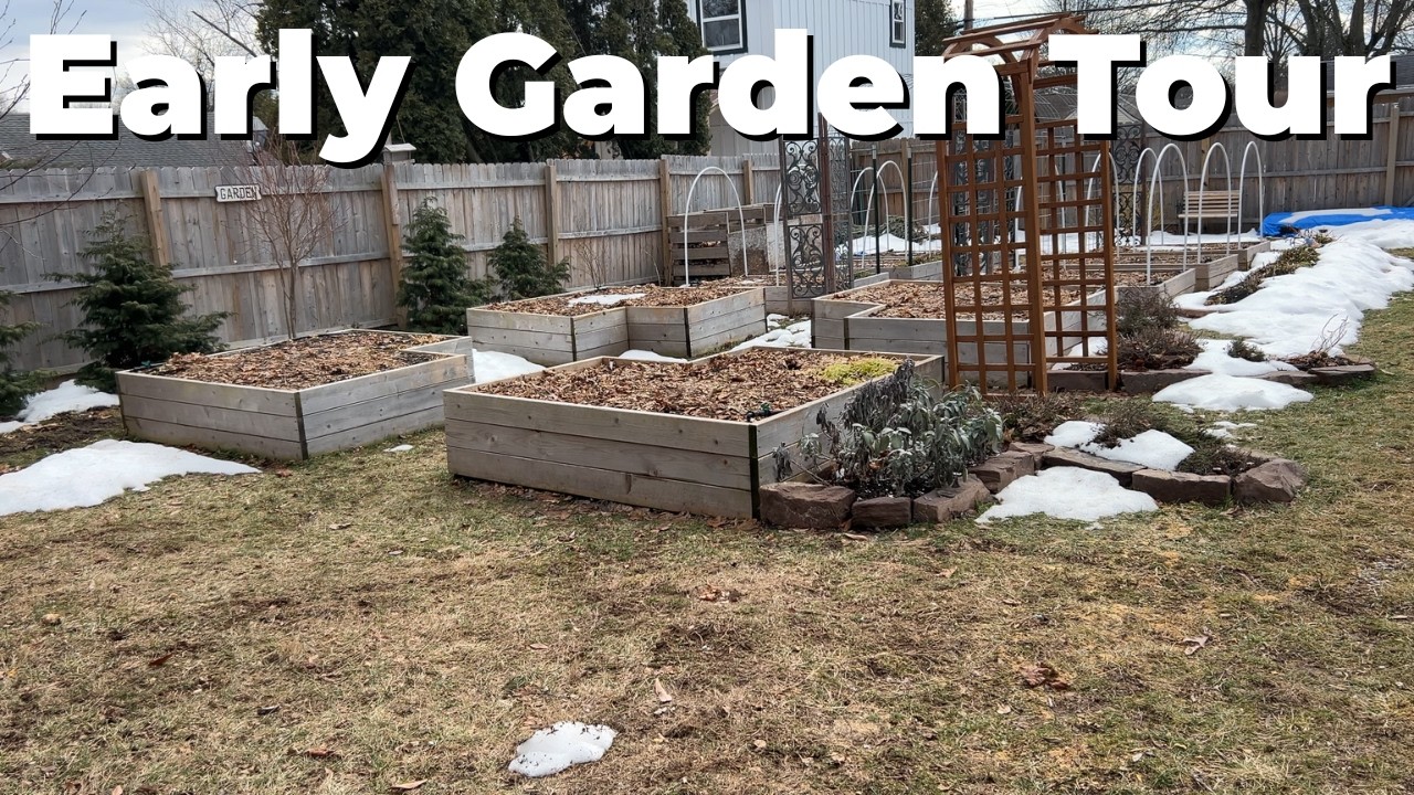 A Year in the Garden - Week 3 - Quick Tour and Seedlings Update