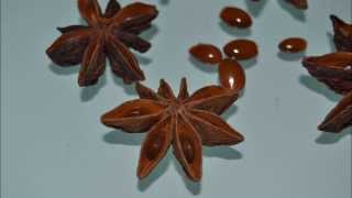 Star anise poisoning, side effects.