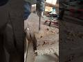 Satisfying Wood Drilling 🔥⚒️