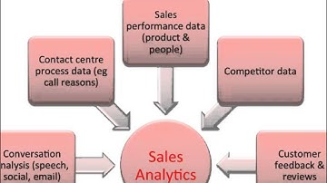 Champions & Innovators 2013: Customer Interaction Analytics