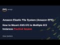 How to Create AWS Elastic File System(EFS) &amp; Mount to Multiple #EC2 Instances @CloudLiberators