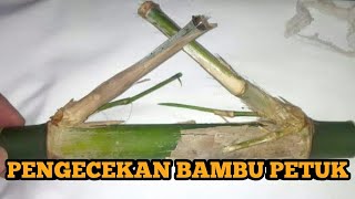 BAMBU PETUK ASLI INDONESIA BAMBU PETUK ASLI INDONESIA