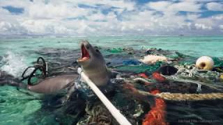 How the Oceans Can Clean Themselves, Boyan Slat at TEDxDelft
