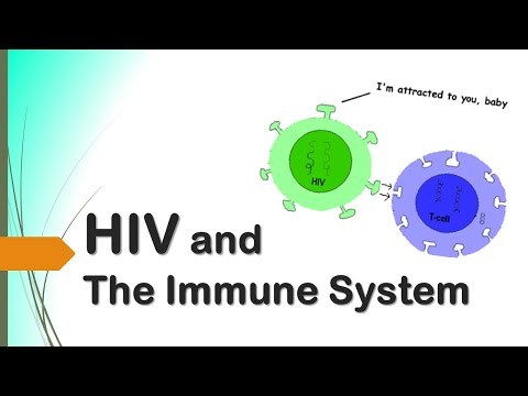 Video: Mutasi Yang Sangat Dipilih Dalam Genom HIV-1 Tidak Tergantung Pada Respon Sel T Dan Antibodi Penawar