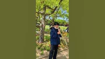 Thumbnail of Japan#hamamatsu #orchestra#music#naturetravelvideo