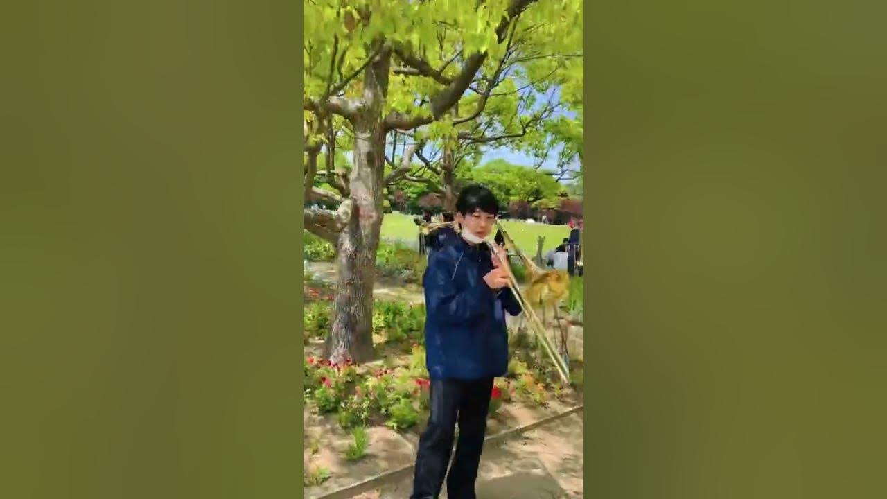 Japan#hamamatsu #orchestra#music#naturetravelvideo