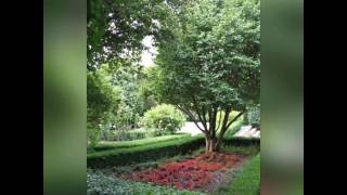 Presentación casa museo de Rosalía en Padrón y algunas de sus obras