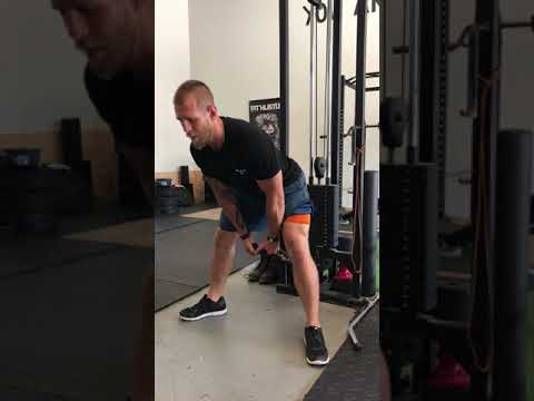 Cable Pull Through - Commercial Gym Powerlifting Program