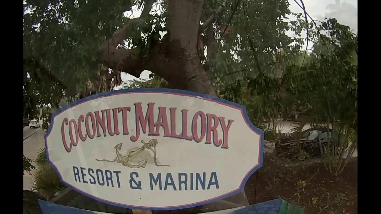 COCONUT MALLORY KEY WEST YouTube