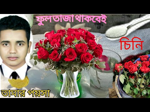 ভিডিও: ব্রাউনি তৈরির 3 উপায়