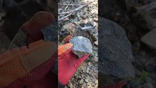 LOOKING FOR THE BEDROCK SOURCE OF THESE GOLD BEARING ROCKS! #shorts #gold #arsenopyrite #quartzvein