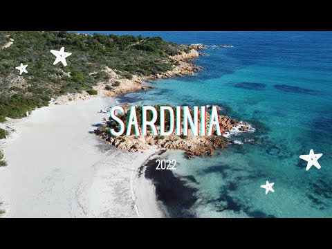 Video 2