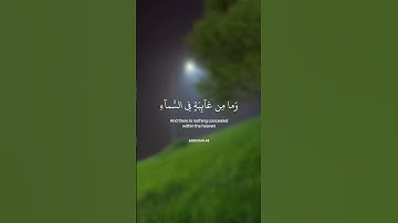 ﴿وإن ربك لَيَعْلَمُ مَا تكن صُدُورُهُمْ وَمَا يُعْلِنُونَ...﴾ تلاوة خاشعة للقارئ الشيخ إسلام صبحي 🥀