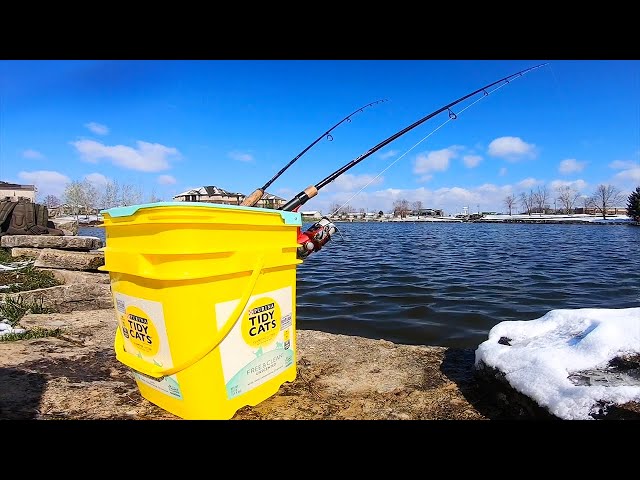fishing rod holders for cats Permi-Step 3 Position Bank Holder Takedown Rod Mad Katz V8 XL seat post ,