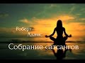 Роберт Адамс - Роберт и Рамана. Сатсанг | Аудиокнигa | Адвайта | NikOsho