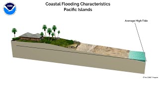maui coast 3D